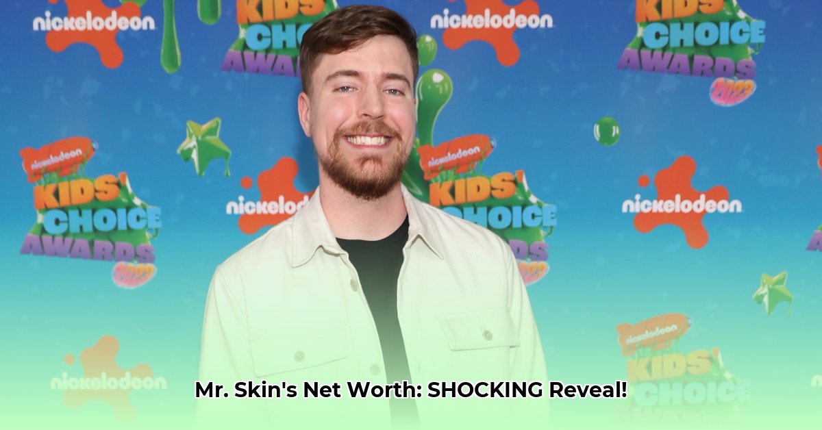 mr-skin-net-worth